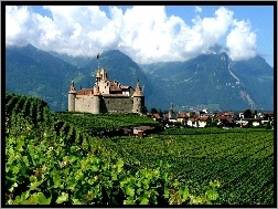 Szwajcaria, Góry, Zamek, Winnica